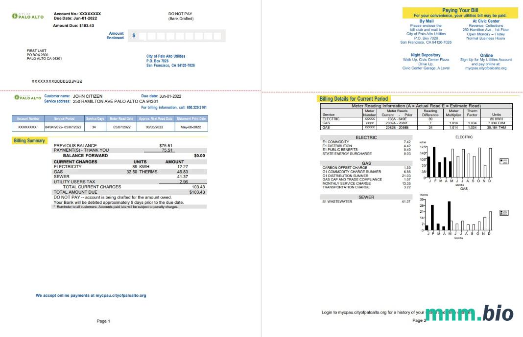 Usa California Palo Alto rachunek za media, Word i PDF szablon, 2 strony